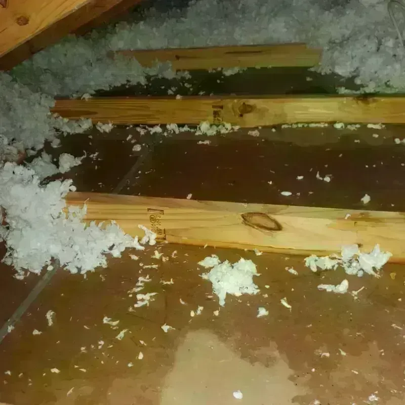 Attic Water Damage in Knoxville, IA