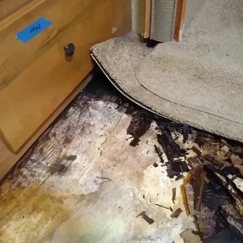 Wood Floor Water Damage in Knoxville, IA